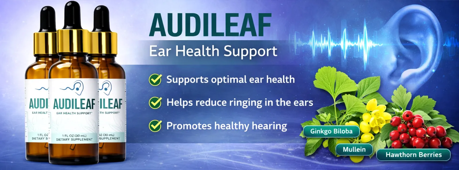 AudiLeaf reviews — AudiLeaf official guarantee and quality seals