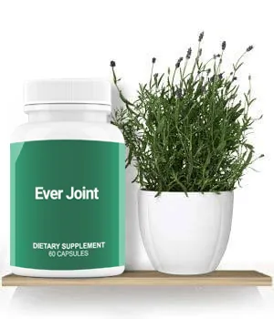 Ever Joint reviews — Ever Joint official guarantee and quality seals